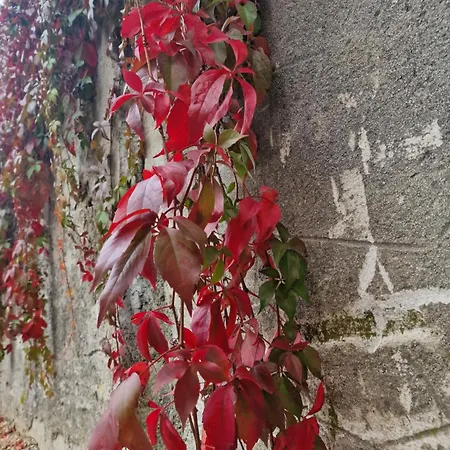 Antica Dolina Postojna