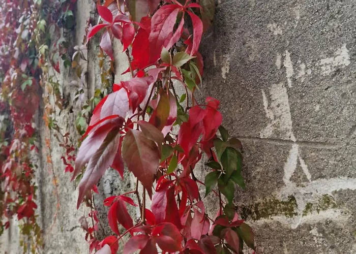 Antica Dolina 波斯托伊纳